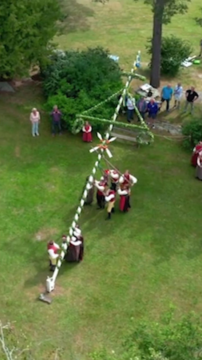 People raising a Midsummer pole