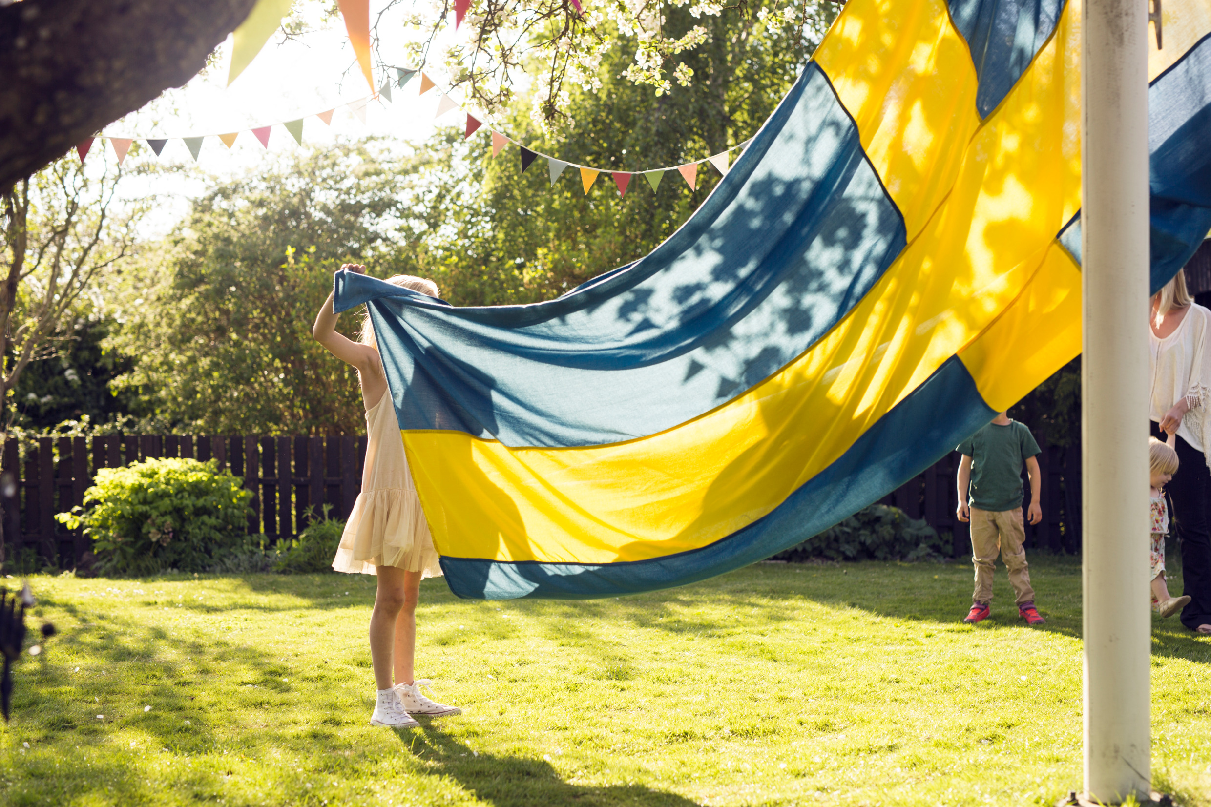 The Swedish flag beinjg raised in a summer garden.