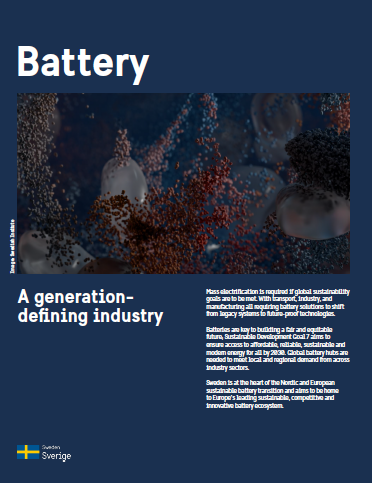 Battery sector overview